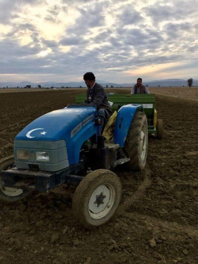 Antalya Buğdayını Arıyor Projesi