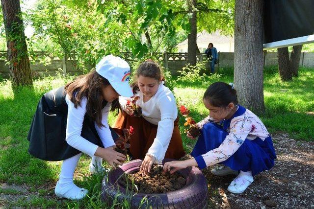 Köy Akademisi Güneş Etkinliği Yapıldı