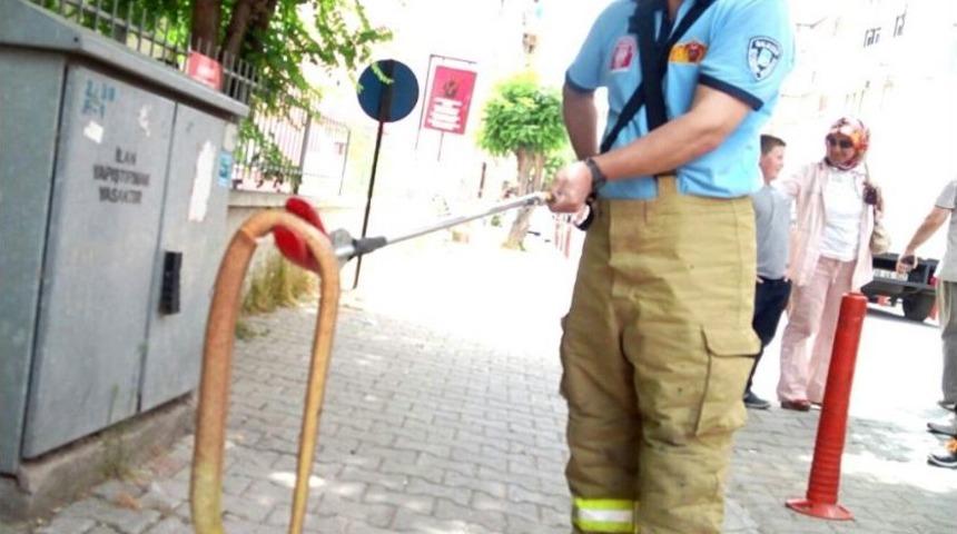 Şehrin Merkezinde &lsquo;oluklu Kertenkele&rsquo; Yakalandı