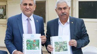 Nusaybin Üzümle Anılacak