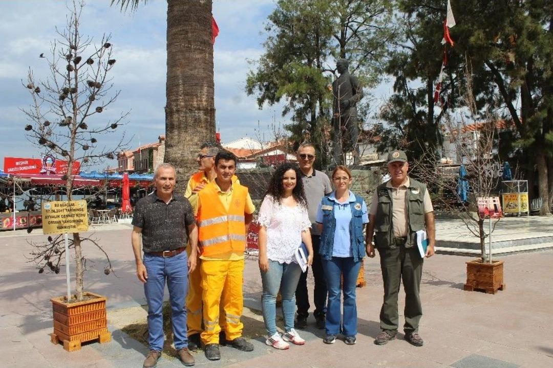 Orman Yangınında Yanan Ağa&ccedil;ları Meydanda Sergilediler