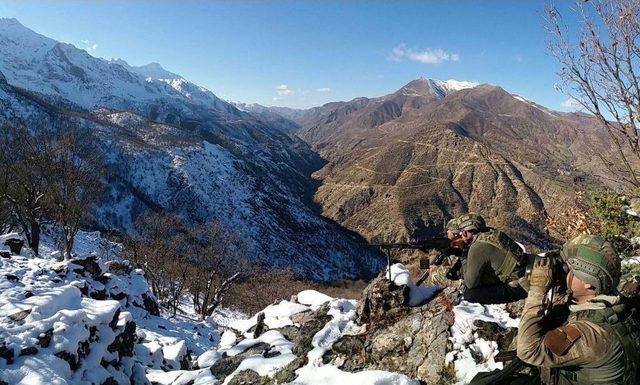 Bitlis’te İki Eyp İmha Edildi