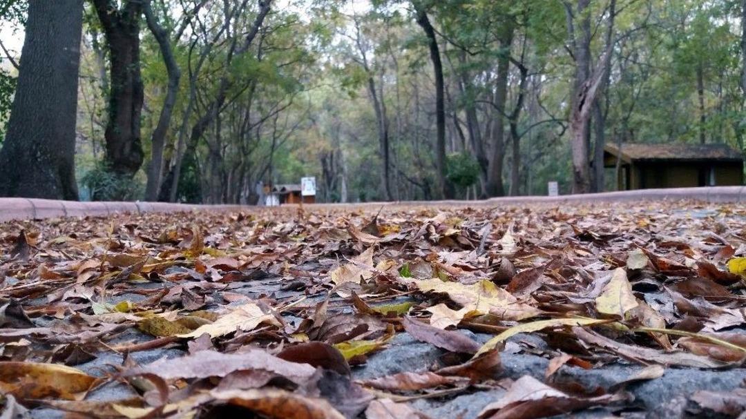 Samsun&rsquo;da Sonbahar