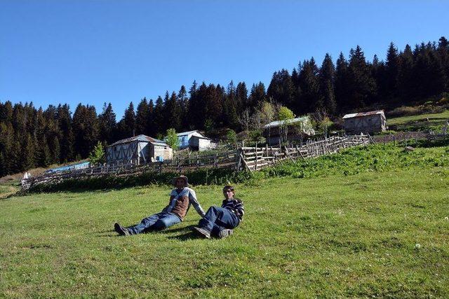 Karadeniz Yaylaları Şenleniyor