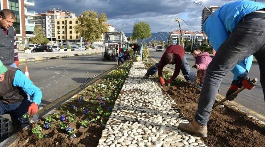 Alaşehir &Ccedil;i&ccedil;ekle Renklendi