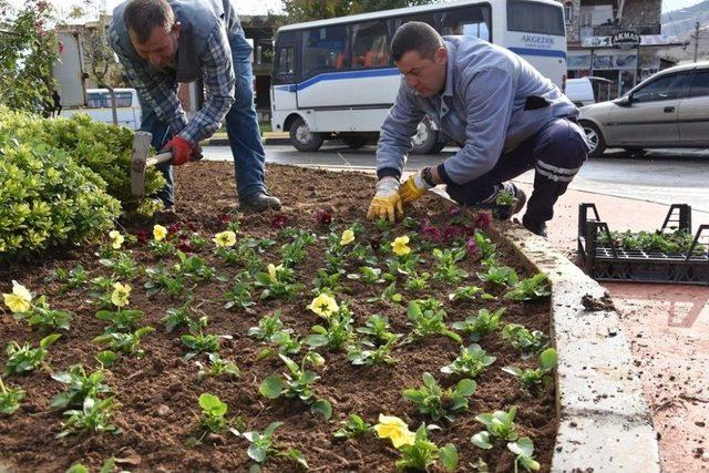 Alaşehir Çiçekle Renklendi