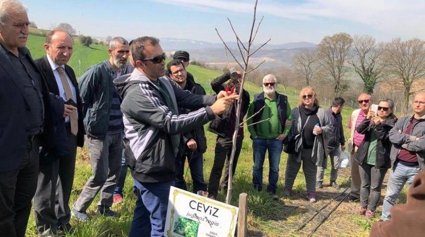 İzmit Belediyesi&rsquo;nden Meyve Yetiştiriciliği Eğitimi