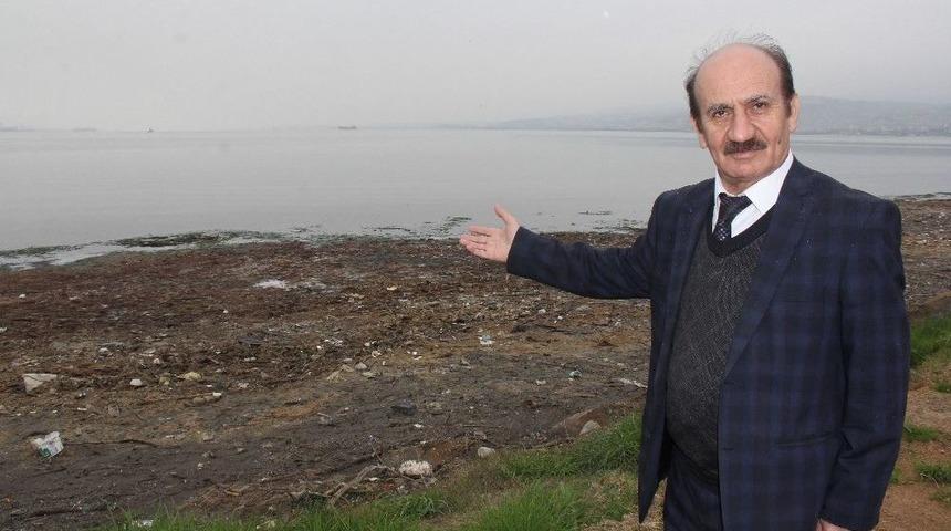 İstanbul &Uuml;niversitesi Deniz Bilimleri &Ouml;ğretim &Uuml;yesi Yrd. Do&ccedil;.dr. Yavuz &Ouml;rnek: