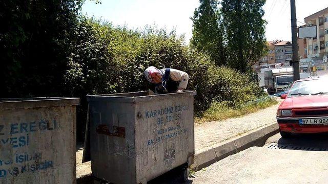 Çöpten Torunu İçin Dolmalık Biber Topladı