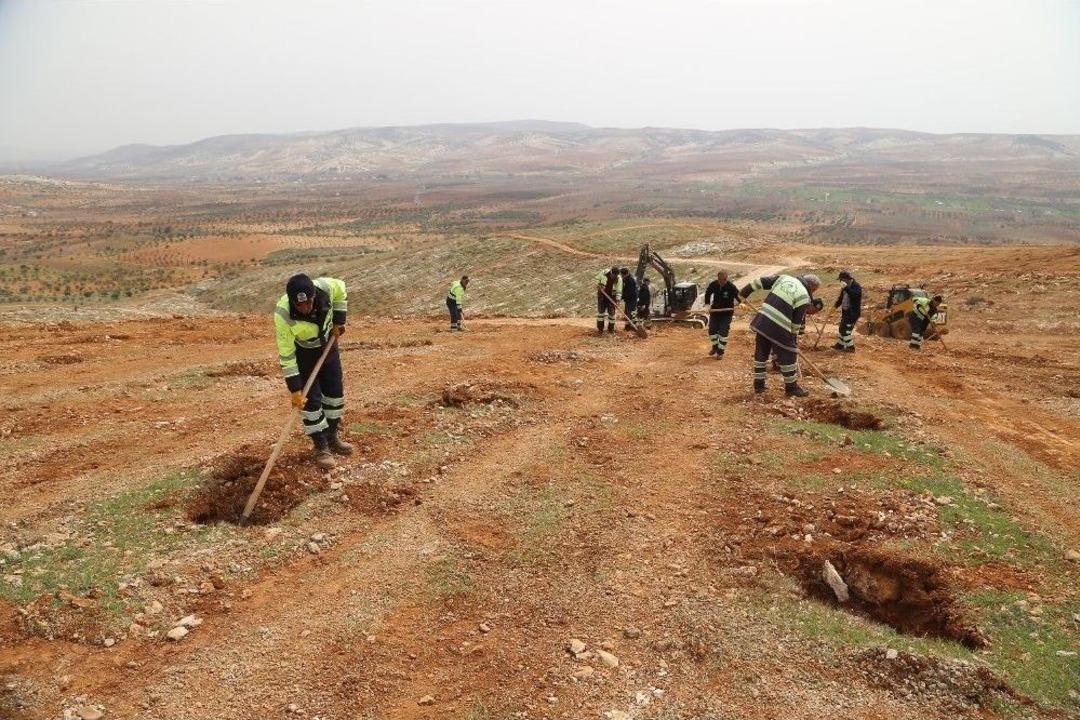 Fadıloğlu&rsquo;ndan Fidan Dikimine Davet