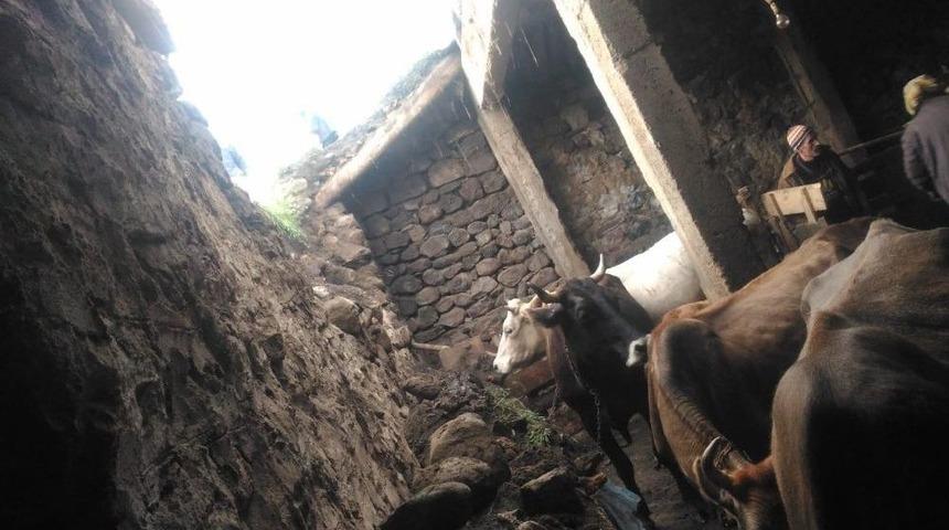 Horasan’da Ahır Çöktü