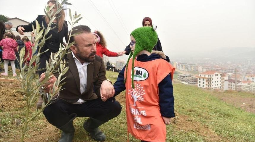 İzmit&rsquo;te Zeytin Dalı Hatıra Ormanı Kuruldu