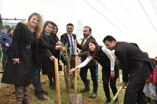 İzmit’te Zeytin Dalı Hatıra Ormanı Kuruldu