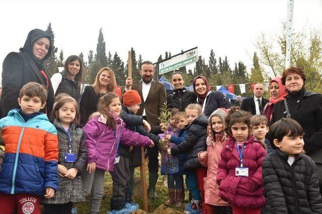 İzmit’te Zeytin Dalı Hatıra Ormanı Kuruldu