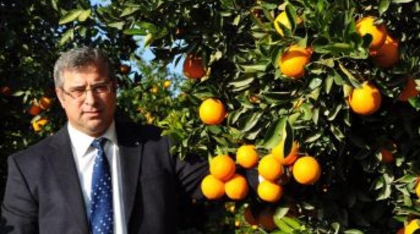 Karademir: "tarım Alanları Yok Oluyor, Kırsal N&uuml;fus Azalıyor"