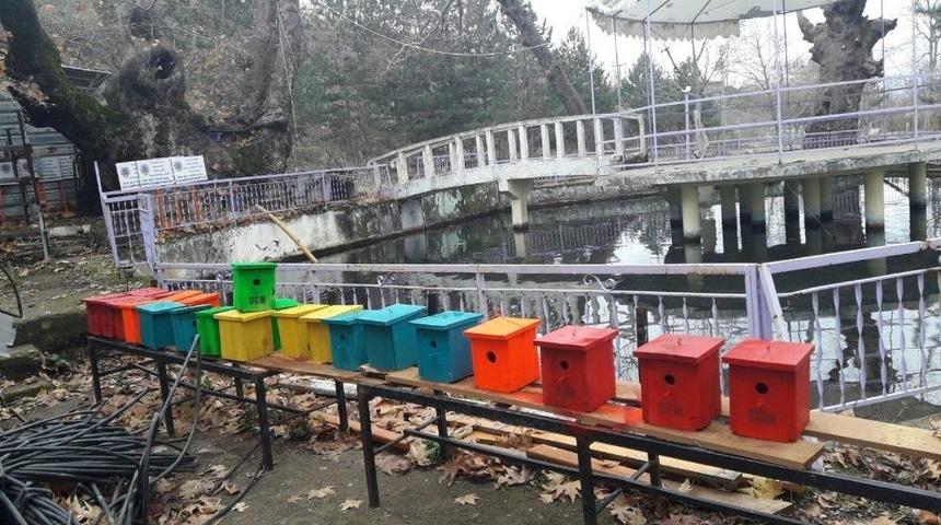 Simav’da Ağaçlara Kuş Yuvası