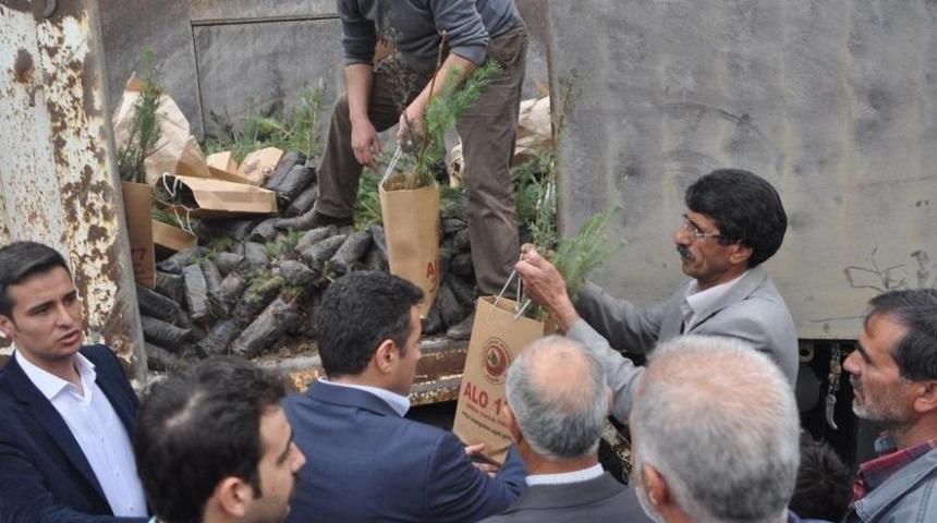 Arıcak&rsquo;ta 2 Bin 750 Adet Fidan Dağıtıldı