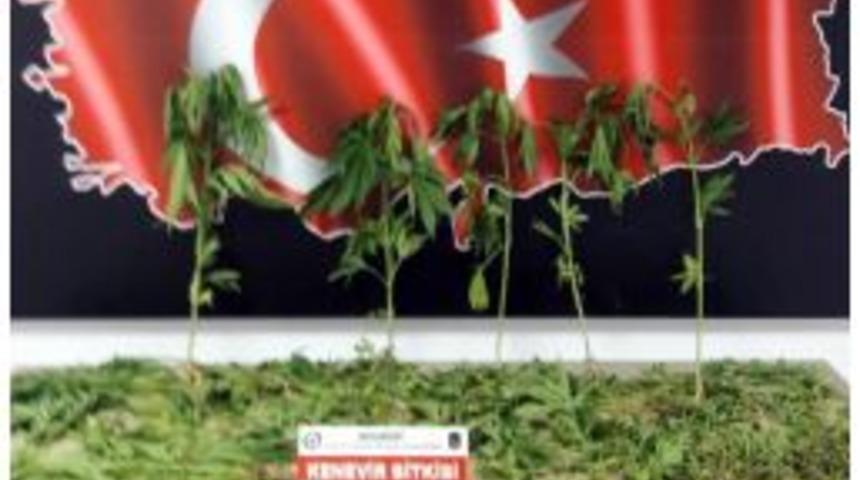 Aksaray&rsquo;da Hint Keneviri Operasyonu