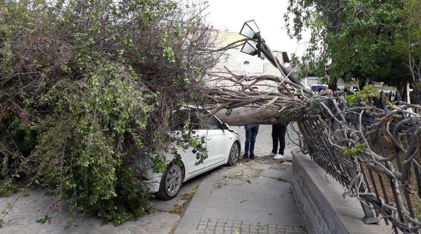 Tarsus&rsquo;ta Fırtına Etkili Oldu