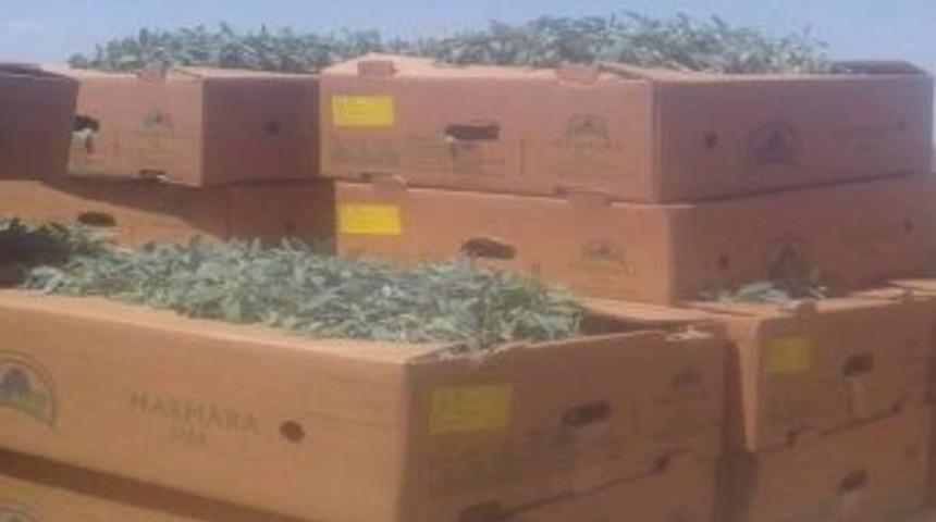 Altıntaş &Ccedil;ift&ccedil;isine Alternatif &Uuml;r&uuml;n Ada&ccedil;ayı