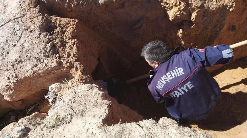 Selin Oluşturduğu Yağırın İçinde Kalan Köpek Kurtarıldı