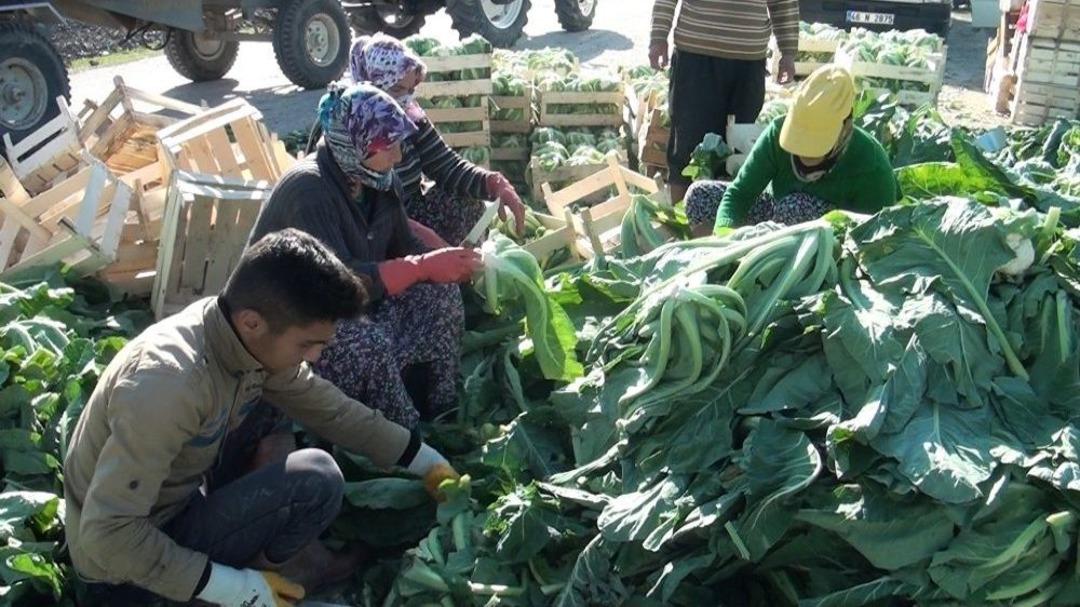 &Ccedil;ift&ccedil;iden İstihdam Seferberliğine Destek