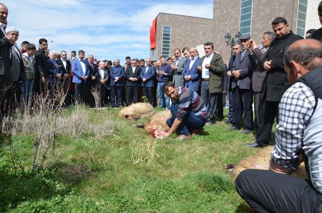 Kardeşlik Platformu Şehitler İ&ccedil;in Kurban Kesti