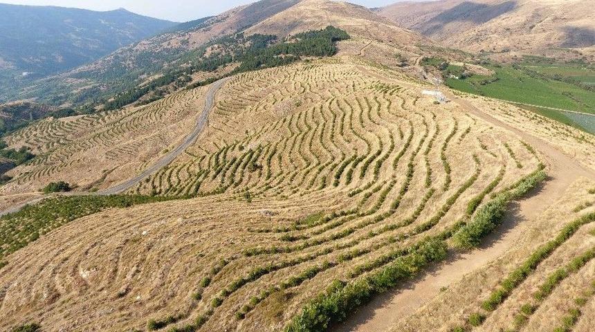İzmir&rsquo;de Uygulanan Erozyon Kontrol Projesi Meyvesini Vermeye Başladı