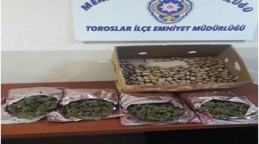 Mersin&rsquo;de Kanun Ka&ccedil;aklarına G&ouml;z A&ccedil;tırılmıyor