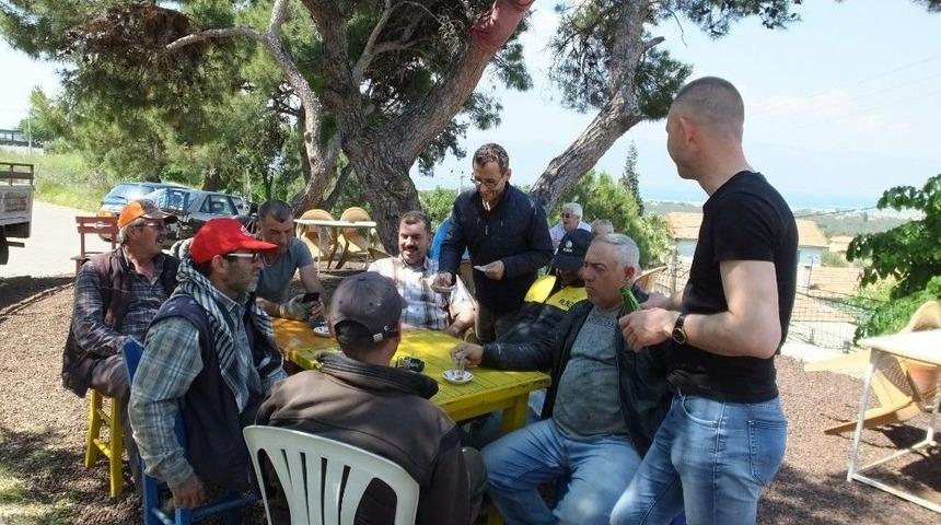 Burhaniye&rsquo;de Kırlangı&ccedil;lar Kahvehaneyi Mesken Tuttu