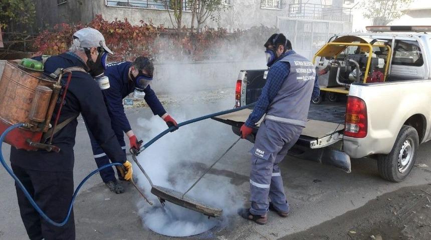Batman Belediyesinden Sinek Ve Sivrisineklerde Kışlak M&uuml;cadelesinde