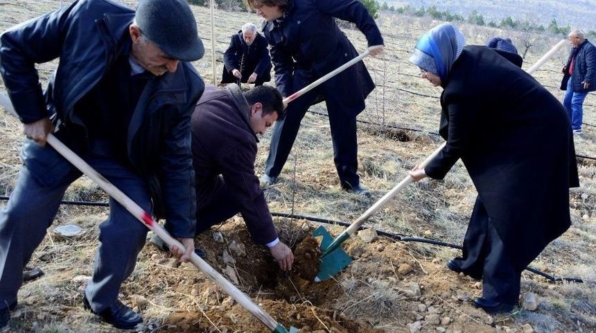 Huzurevi Sakinleri Fidan Dikti
