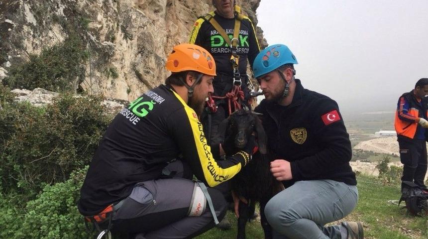 Honaz&rsquo;da Kayalıklarda Mahsur Kalan Ke&ccedil;i Halatla Kurtarıldı