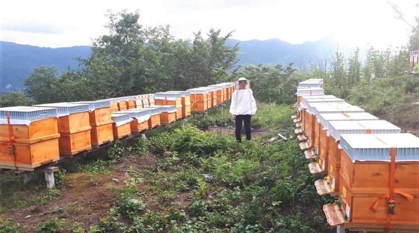 Arıcılara Destek Uyarısı