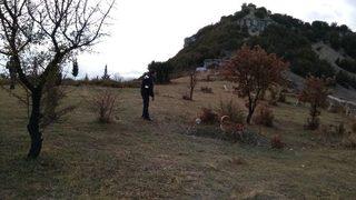 Selendi’deki Şüpheli Mezar Boş Çıktı