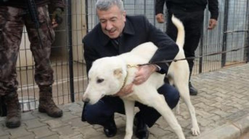 Akbaşlar Asayiş K&ouml;peği Olacak