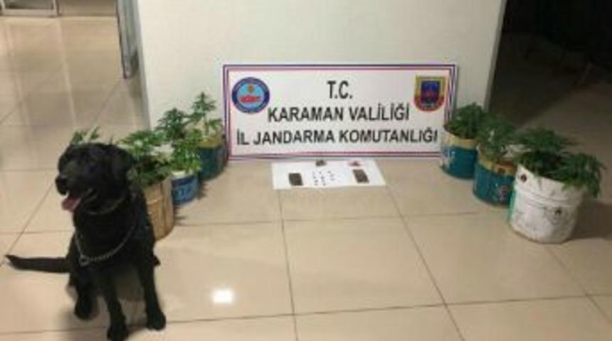 Karaman&rsquo;da Uyuşturucu Operasyonu