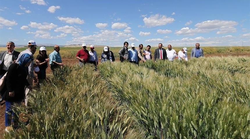 Osmaniyeli Nohut &Uuml;reticilerine Adıyaman Gezisi