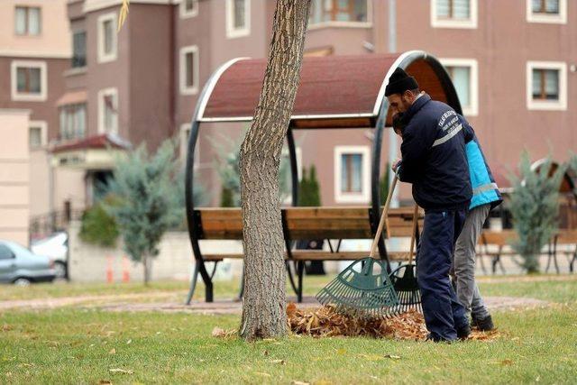 Talas Belediyesi Ekipleri Kuru Yaprakları Gübreye Dönüştürüyor