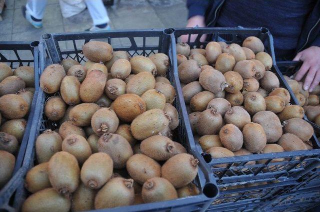 Ak&ccedil;akoca&rsquo;da Pazarda Yerli Kivi Ve Mandalina Bolluğu 1