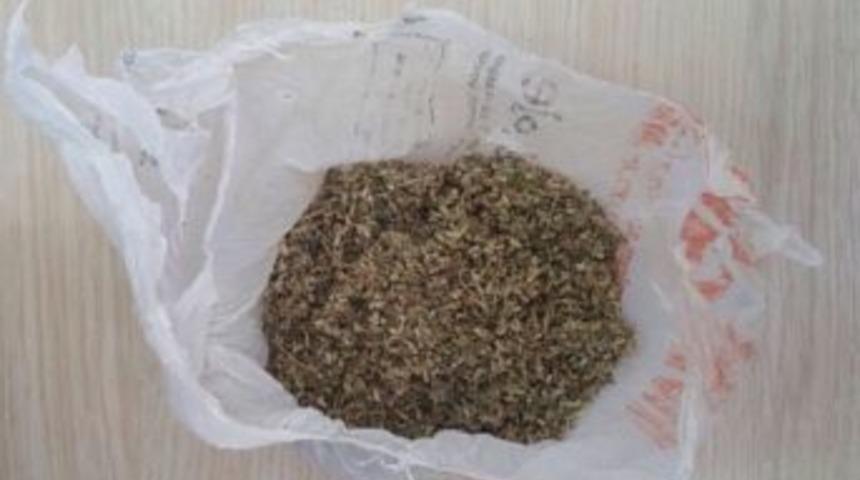 &Uuml;zerlerinde Bonzai &Ccedil;ıkan Şahıslar G&ouml;zaltına Alındı