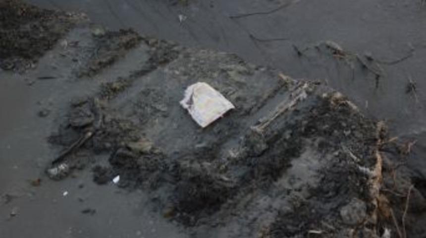 Esenyurt&rsquo;ta Derede Yeni Doğmuş Bebek Cesedi Bulundu