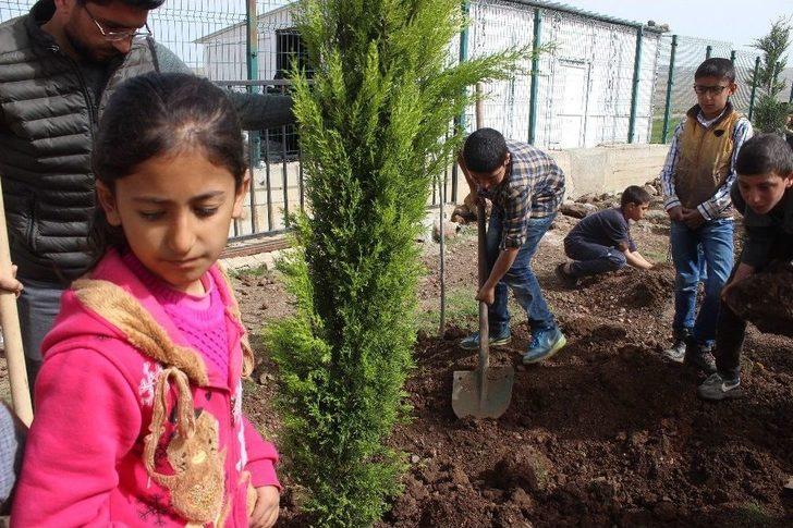 Öğrenciler Ağaç Olmayan Kırsal Mahale Ağaç Dikti G1