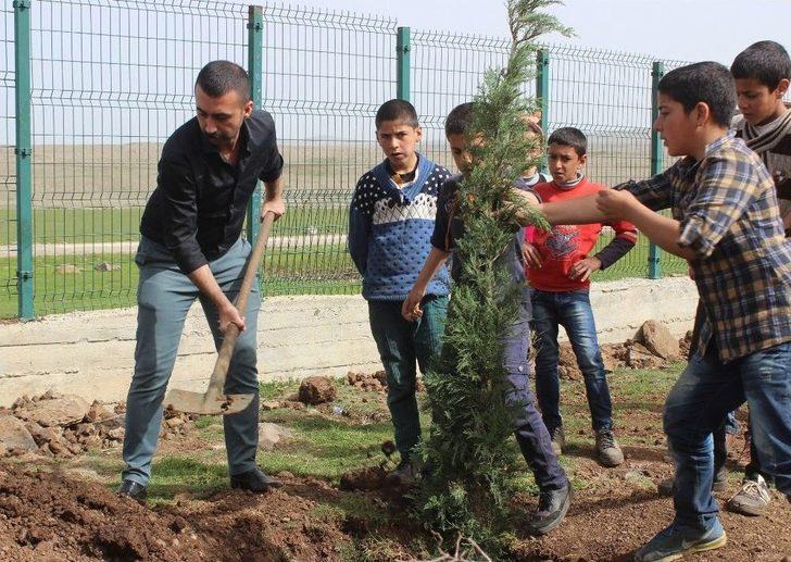 Öğrenciler Ağaç Olmayan Kırsal Mahale Ağaç Dikti G2
