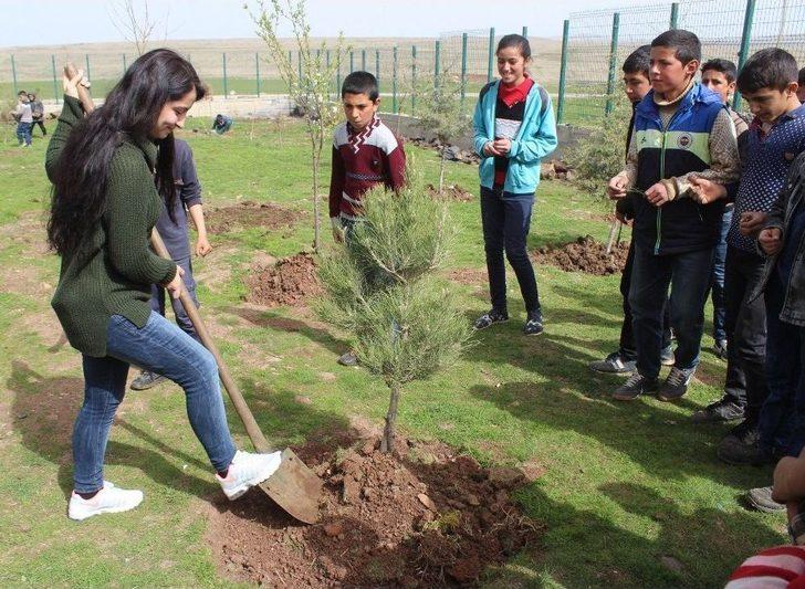 Öğrenciler Ağaç Olmayan Kırsal Mahale Ağaç Dikti G4