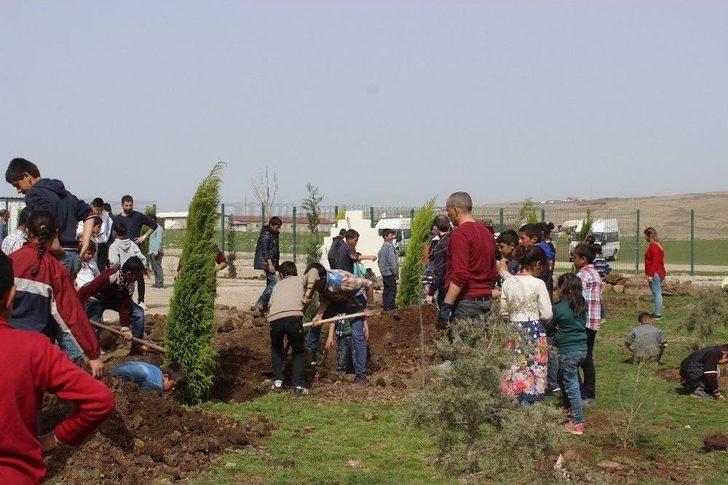 Öğrenciler Ağaç Olmayan Kırsal Mahale Ağaç Dikti G5