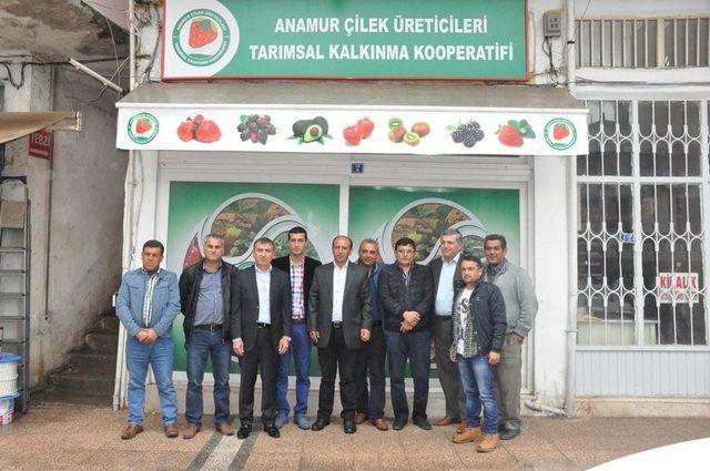 Anamur’da Çilek Üreticileri Tarımsal Kalkınma Kooperatifi Kuruldu