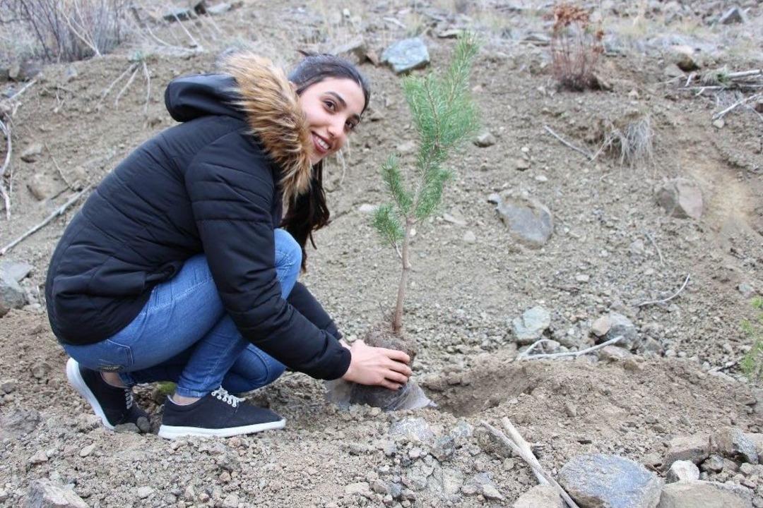 Erzincan&rsquo;da Afrin Şehidi 49 Mehmet&ccedil;ik İ&ccedil;in 49 Fidan Dikildi