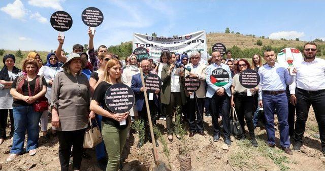 Sağlık-sen Kadınlar Komisyonu Filistinli Şehitler İçin Fidan Dikti