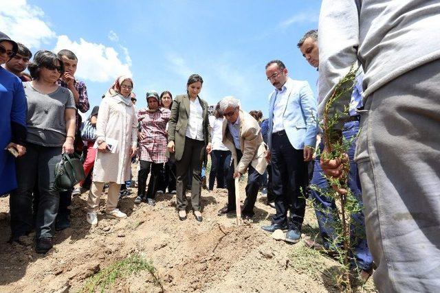 Sağlık-sen Kadınlar Komisyonu Filistinli Şehitler İçin Fidan Dikti